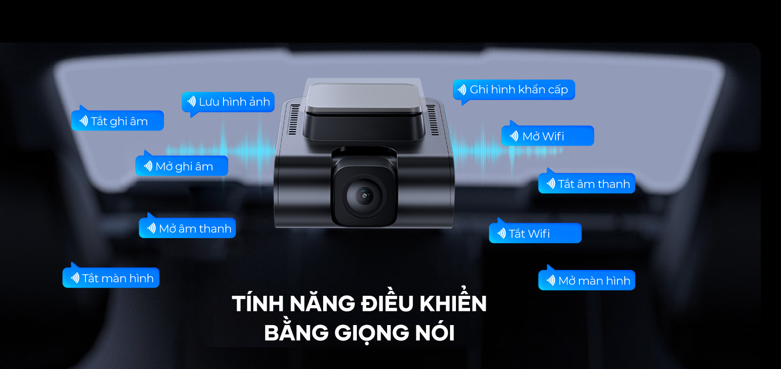 biggic3-s720.webp biggic3-s720